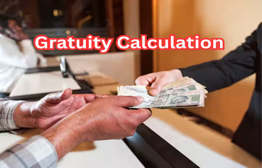 Gratuity Calculator